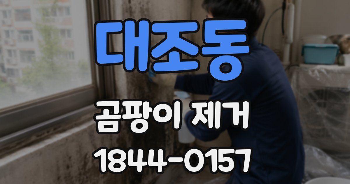 대조동 곰팡이 제거