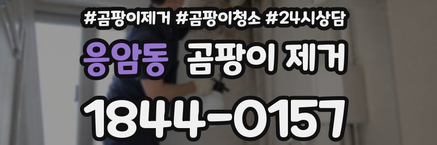 응암동 곰팡이 제거