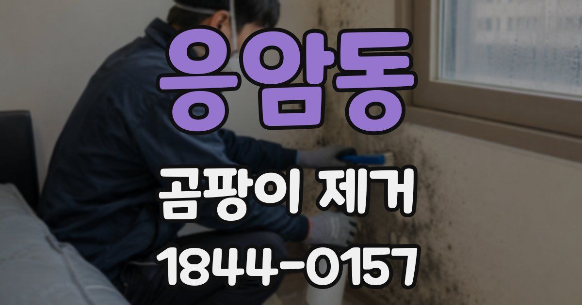 응암동 곰팡이 제거