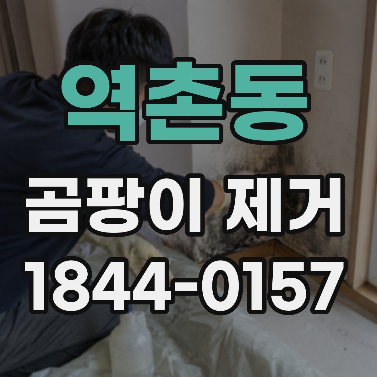 역촌동 곰팡이 제거