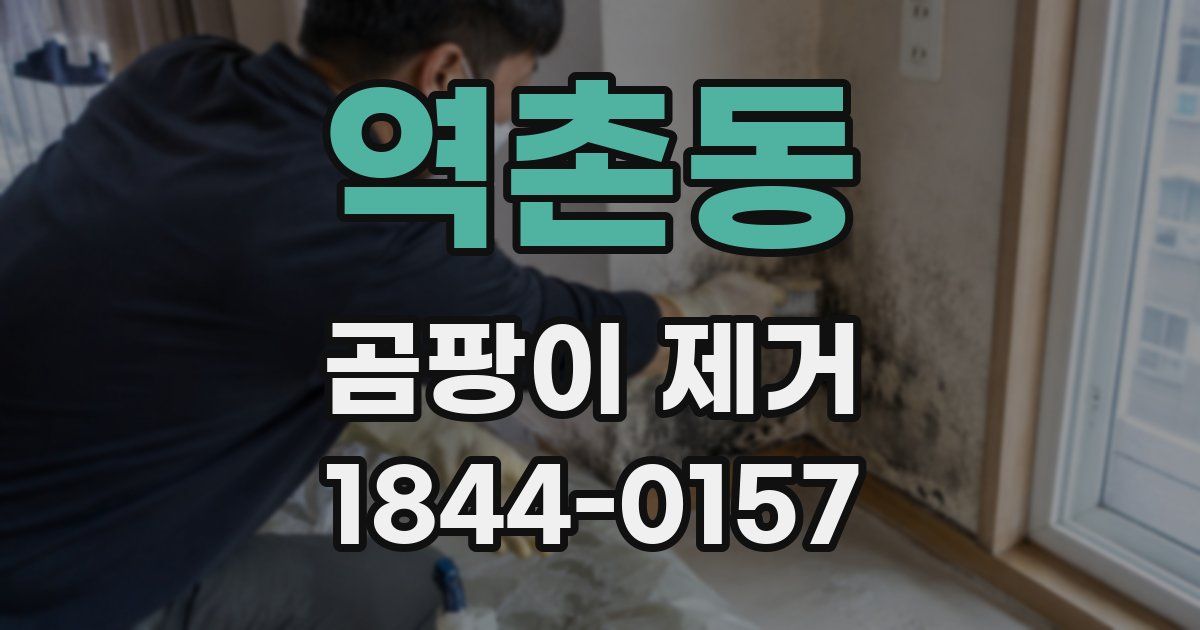 역촌동 곰팡이 제거