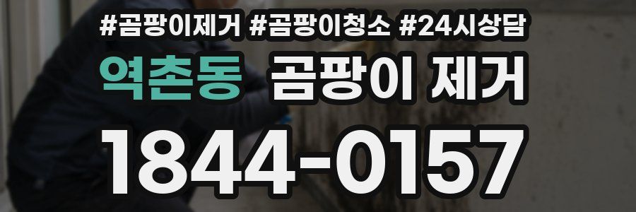역촌동 곰팡이 제거