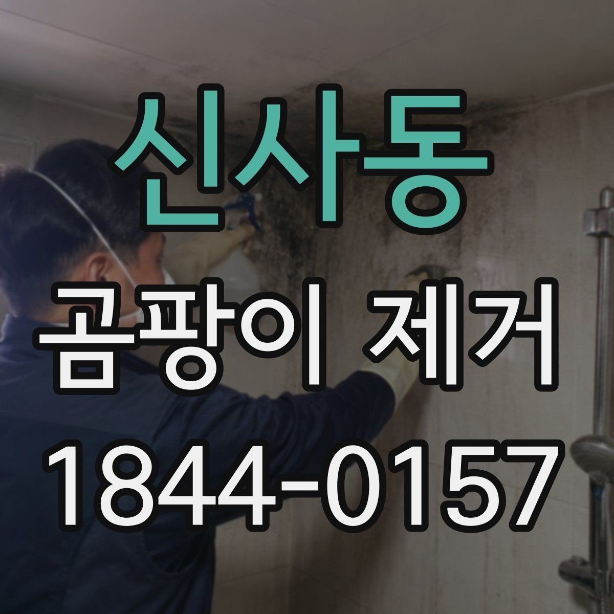 신사동 곰팡이 제거 검은 자국이 보일 때 먼저 살필 위치