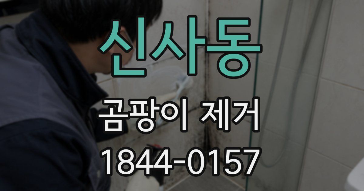 신사동 곰팡이 제거