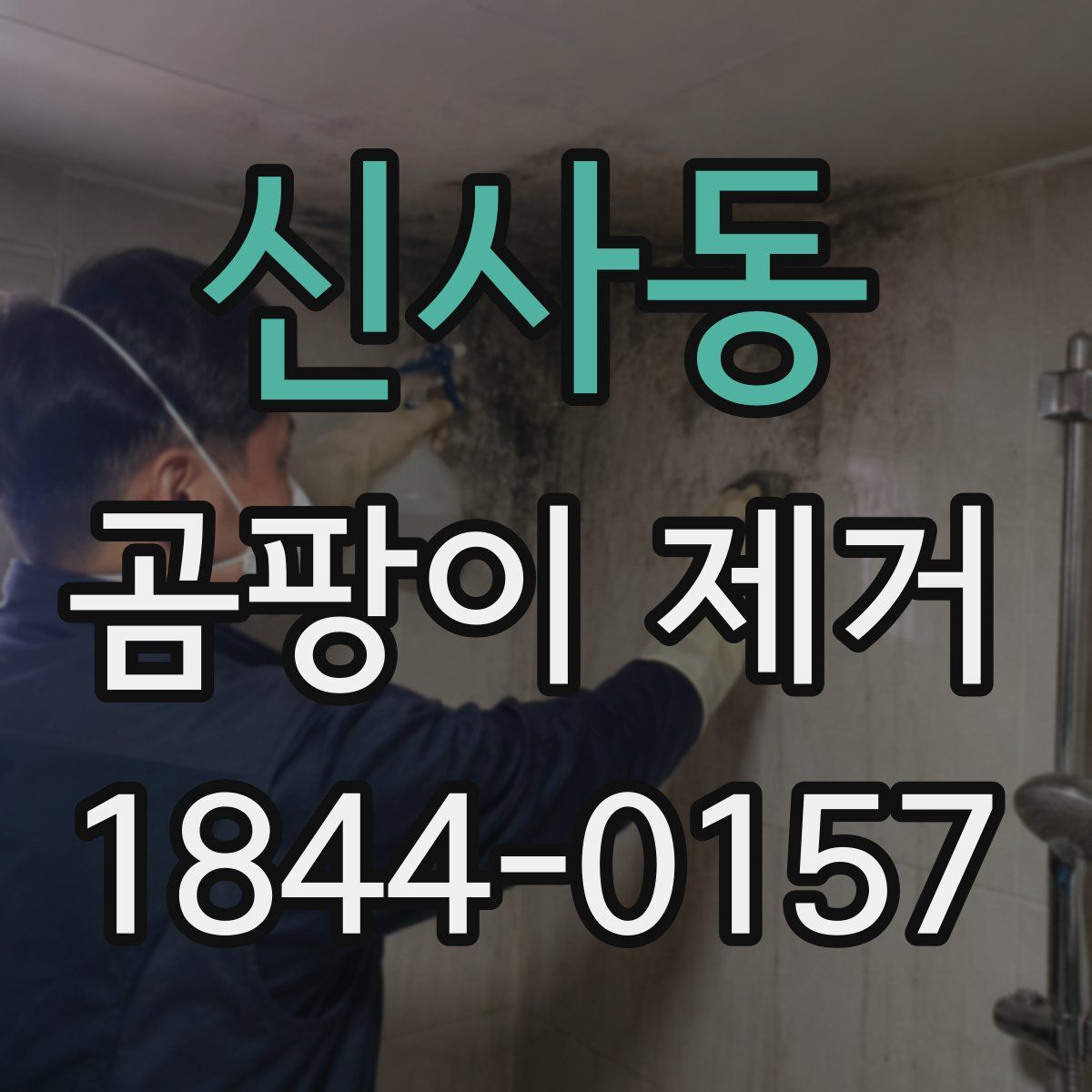 신사동 곰팡이 제거
