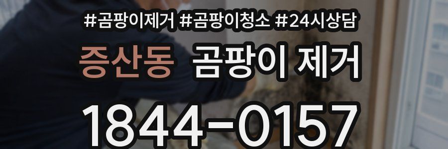 증산동 곰팡이 제거