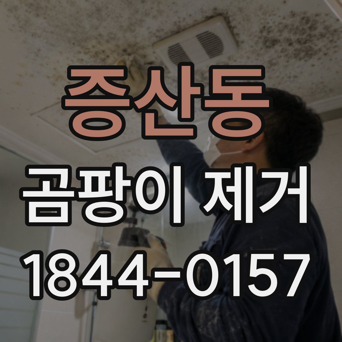 증산동 곰팡이 제거