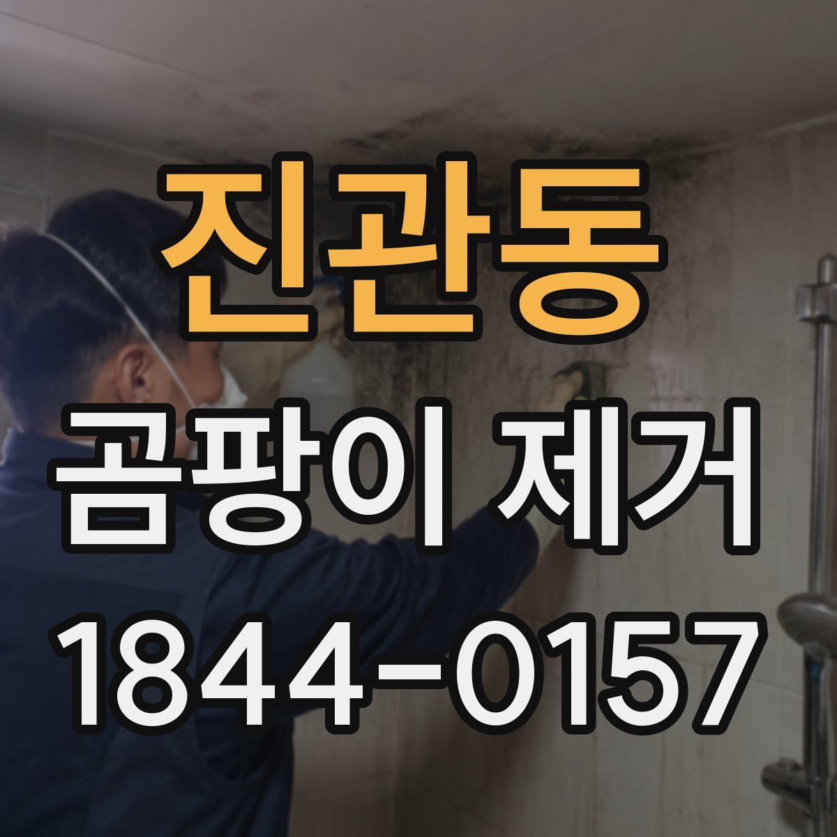 진관동 곰팡이 제거