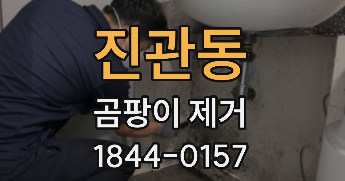 진관동 곰팡이 제거