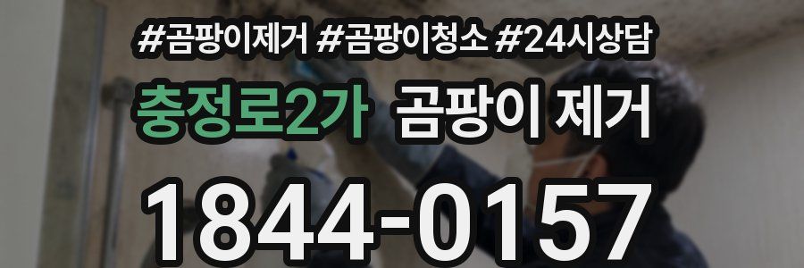 충정로2가 곰팡이 제거