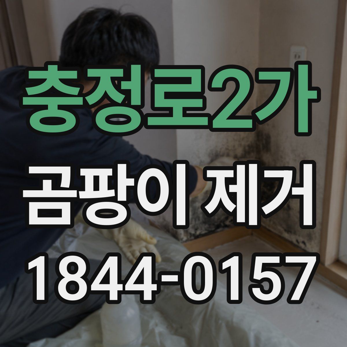 충정로2가 곰팡이 제거