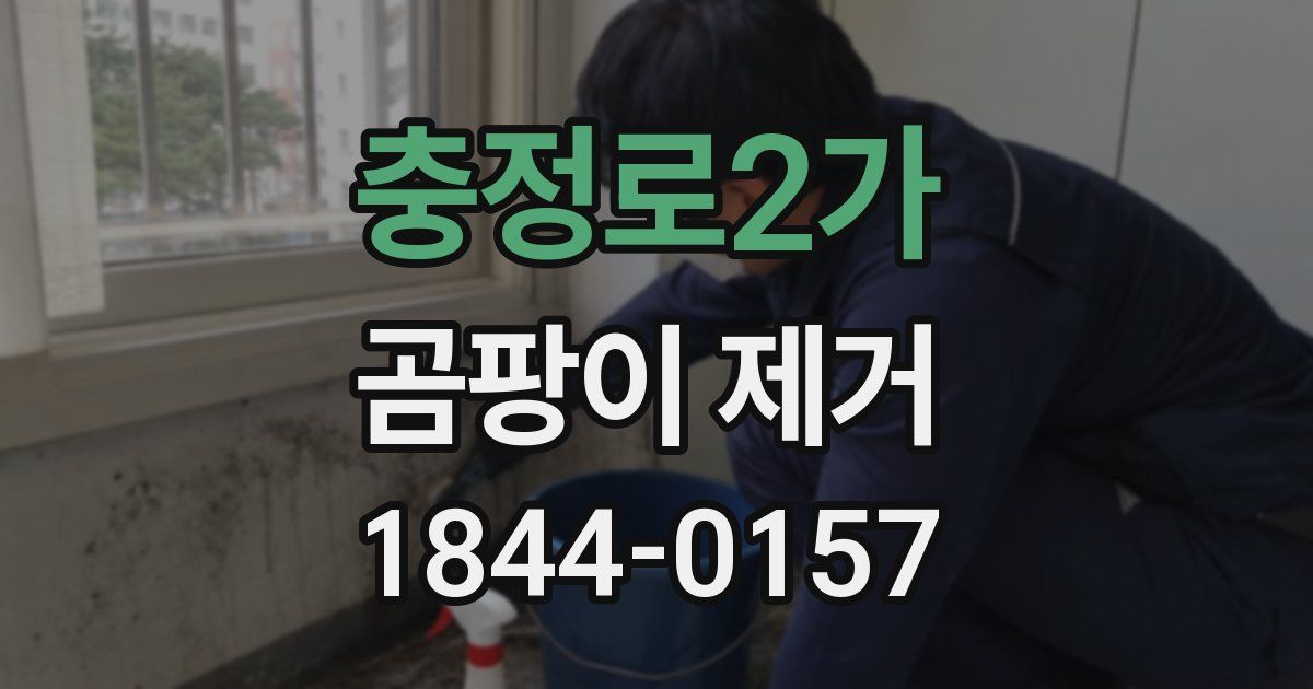충정로2가 곰팡이 제거
