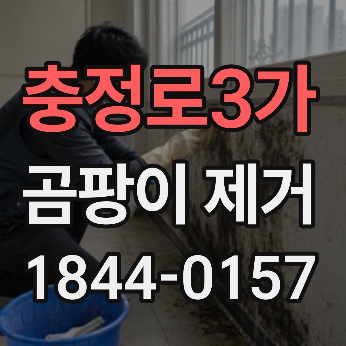 충정로3가 곰팡이 제거