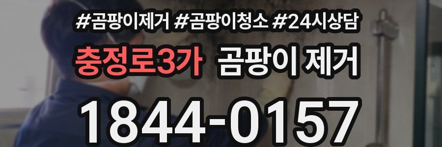 충정로3가 곰팡이 제거