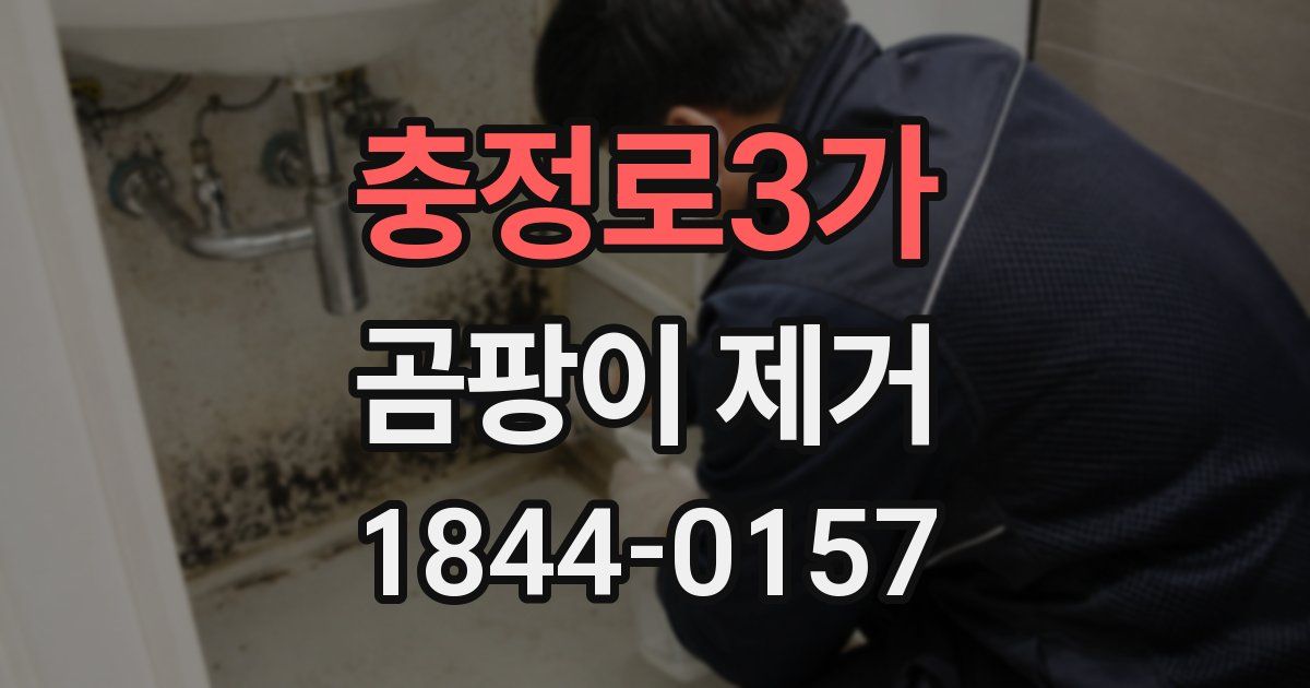 충정로3가 곰팡이 제거
