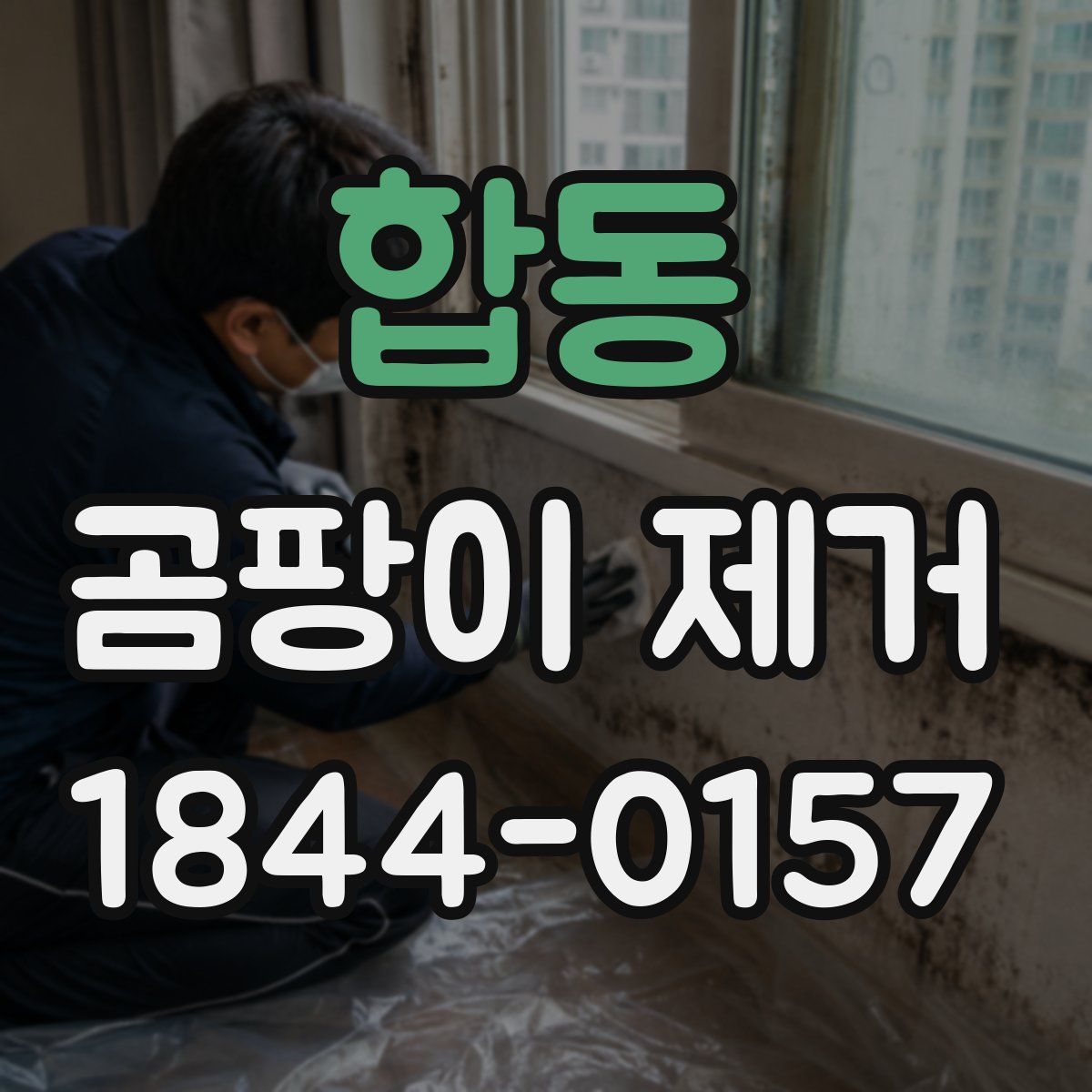 합동 곰팡이 제거