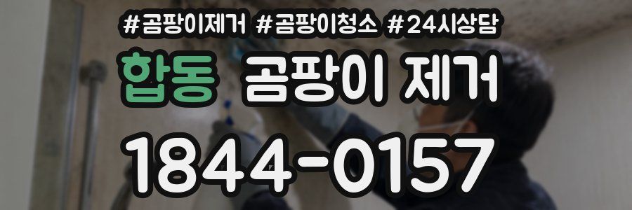 합동 곰팡이 제거