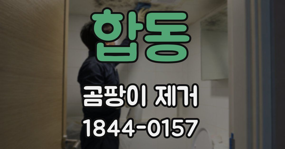 합동 곰팡이 제거