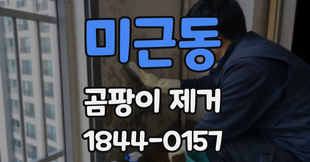 미근동 곰팡이 제거