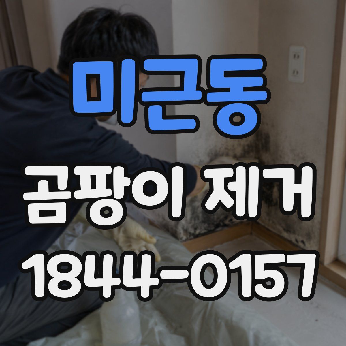 미근동 곰팡이 제거