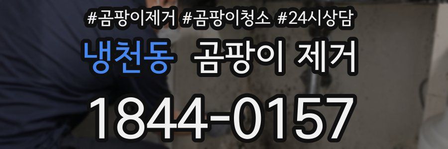 냉천동 곰팡이 제거