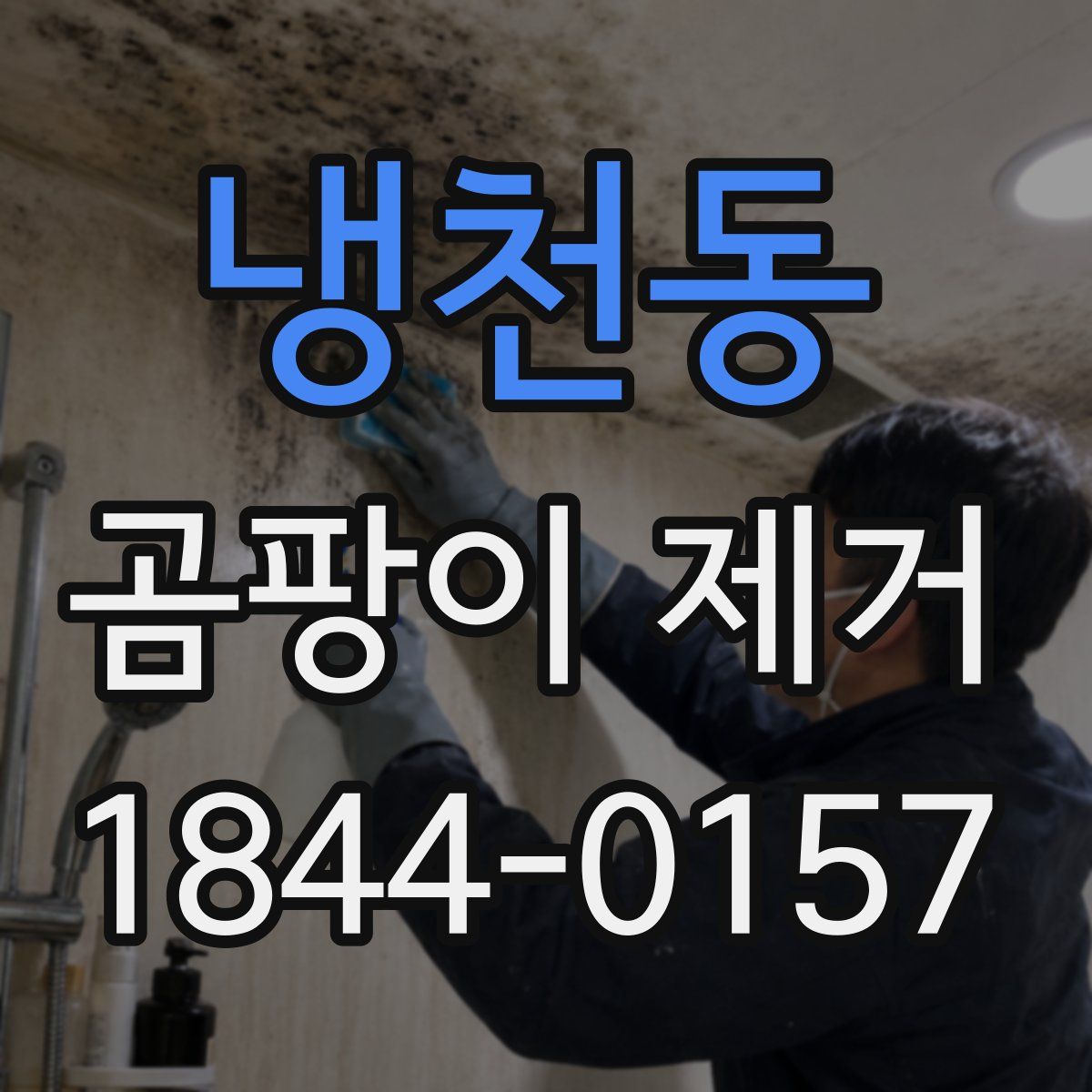 냉천동 곰팡이 제거