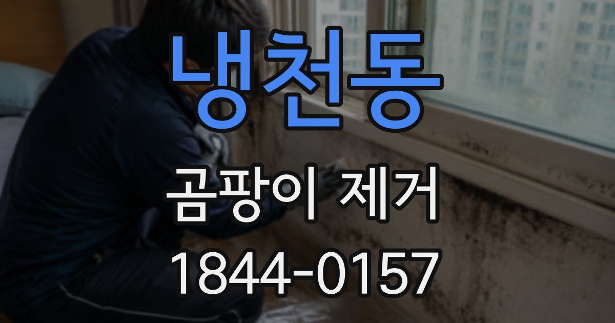 냉천동 곰팡이 제거