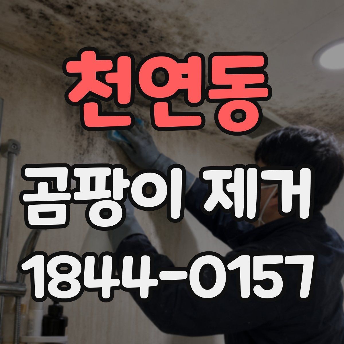 천연동 곰팡이 제거 욕실 환기 뒤 세척까지 이어지는 흐름
