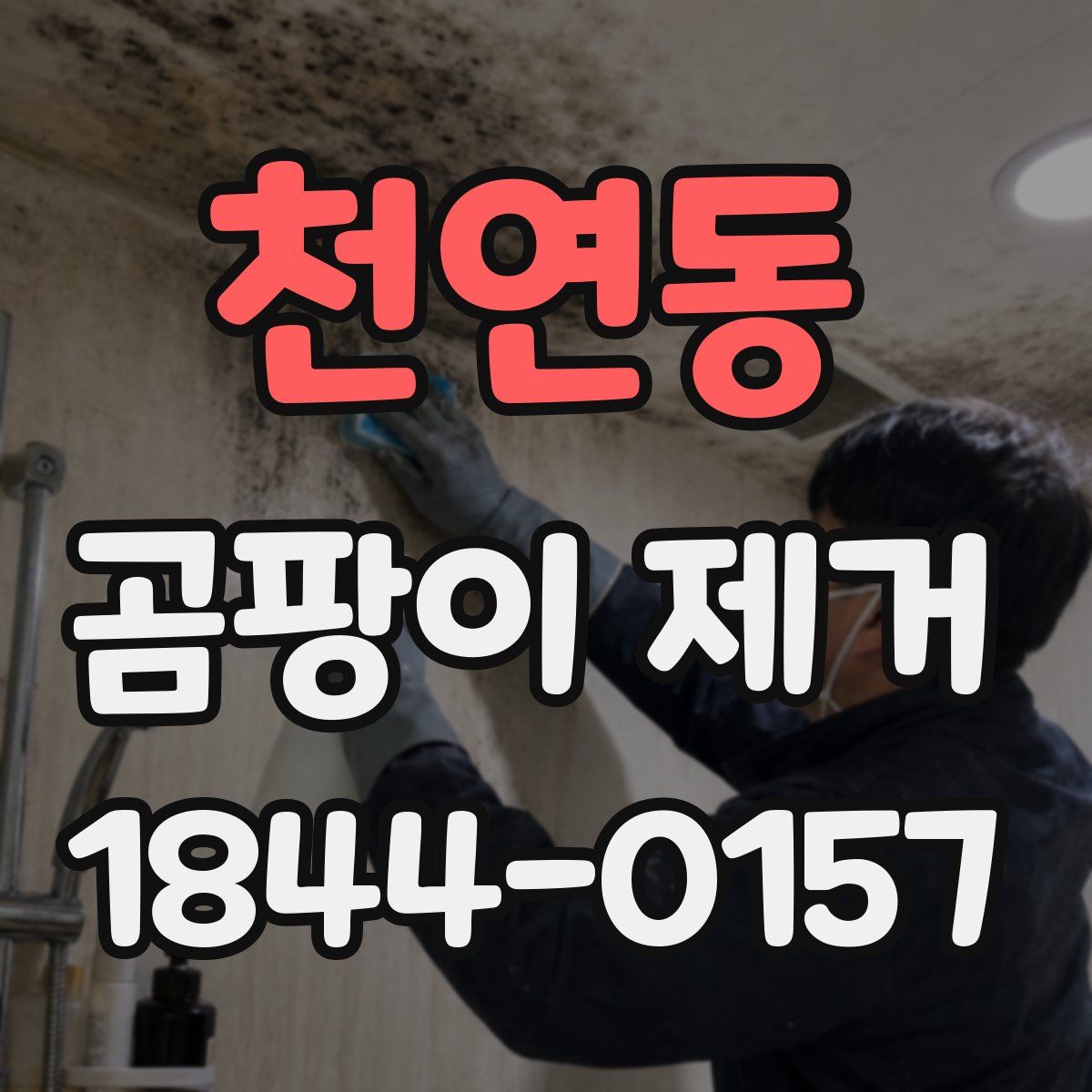 천연동 곰팡이 제거