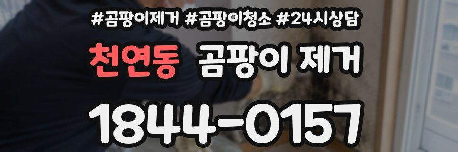 천연동 곰팡이 제거