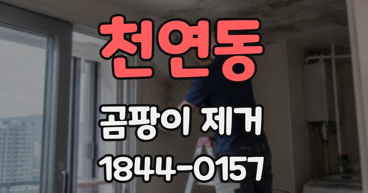 천연동 곰팡이 제거