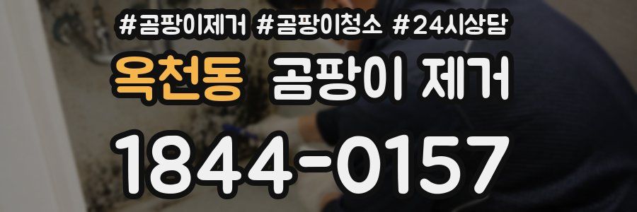 옥천동 곰팡이 제거