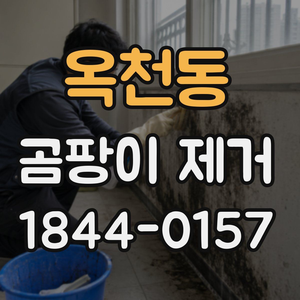 옥천동 곰팡이 제거