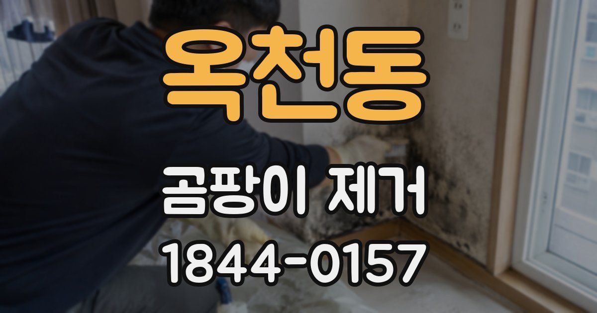 옥천동 곰팡이 제거