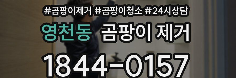 영천동 곰팡이 제거