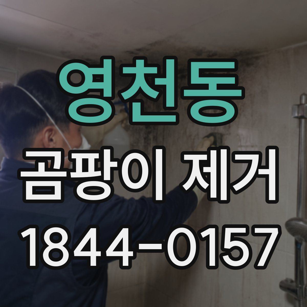 영천동 곰팡이 제거