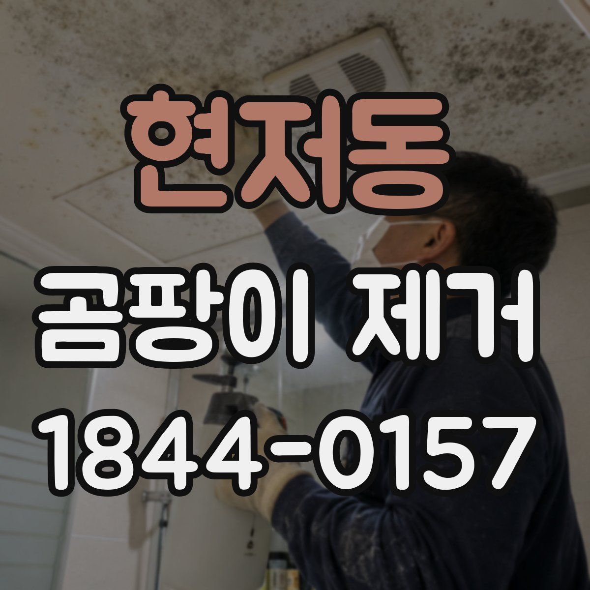 현저동 곰팡이 제거