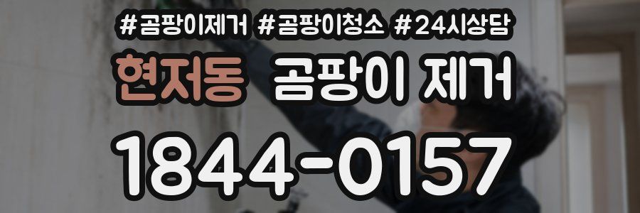 현저동 곰팡이 제거