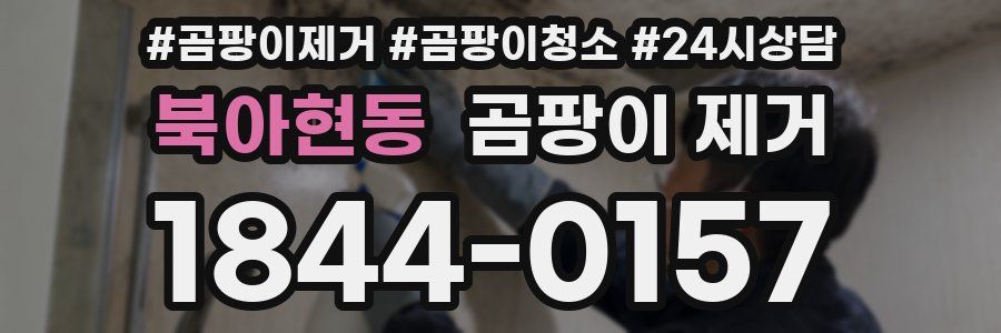 북아현동 곰팡이 제거