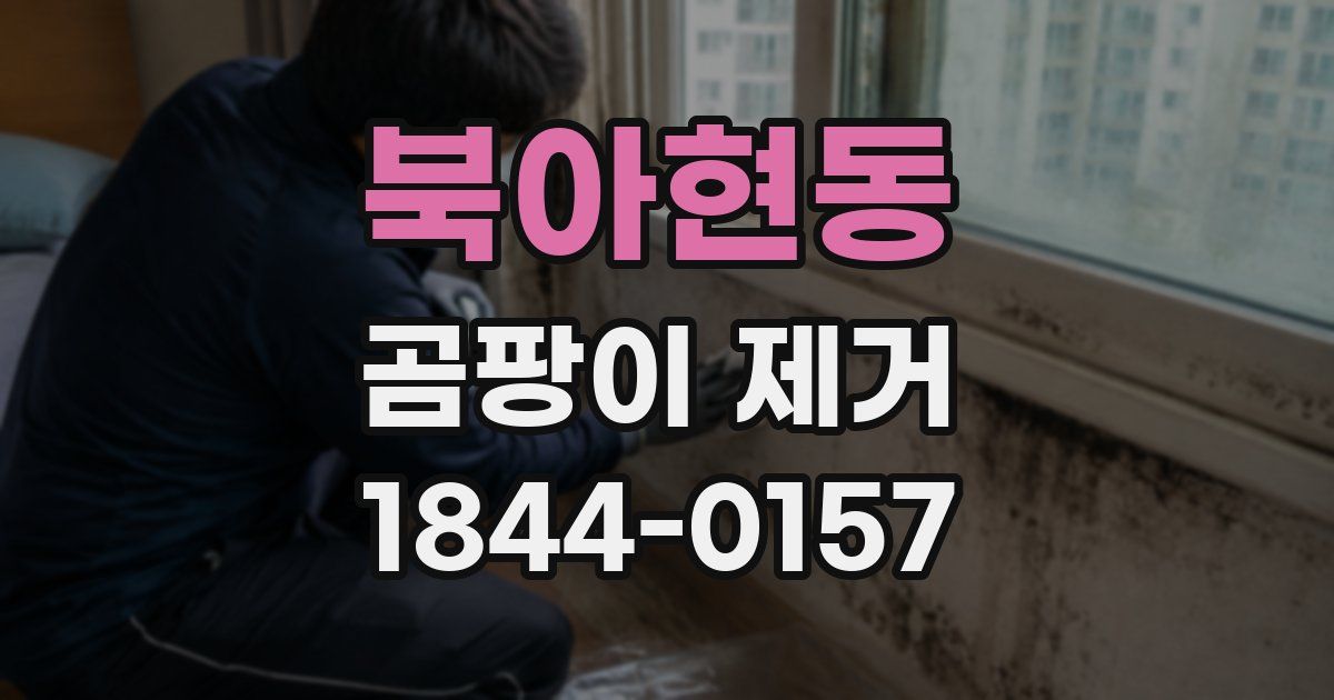 북아현동 곰팡이 제거