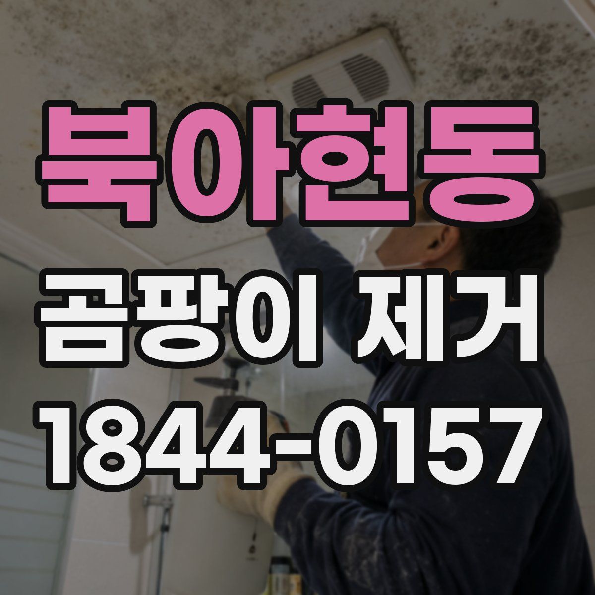 북아현동 곰팡이 제거