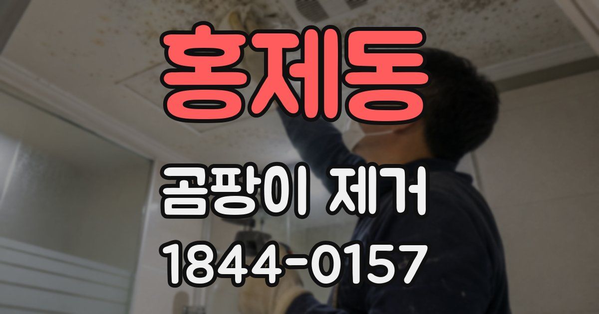 홍제동 곰팡이 제거