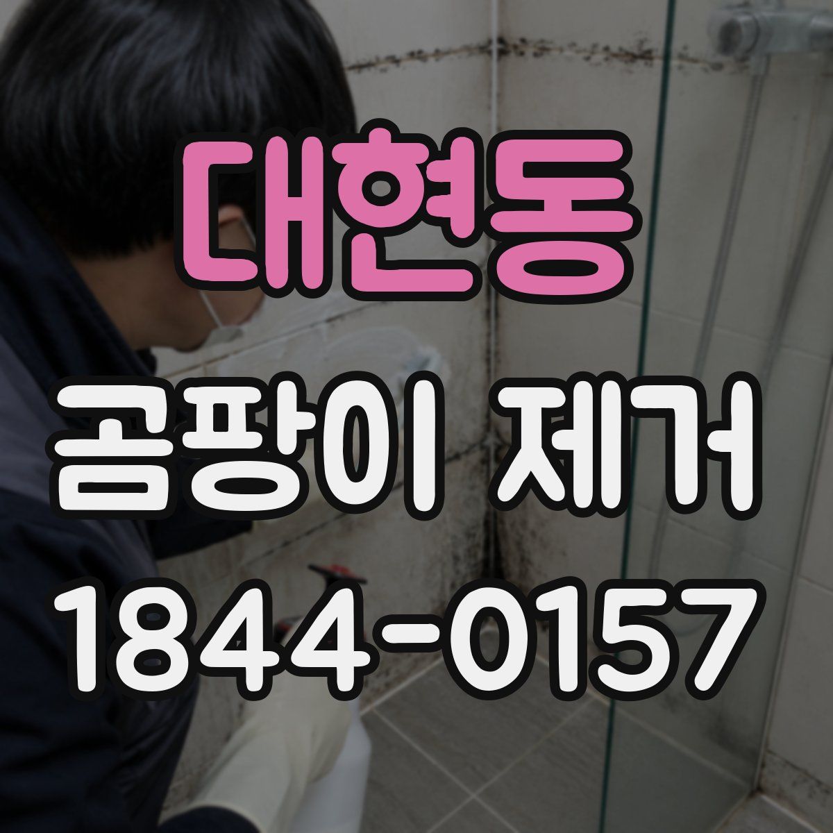 대현동 곰팡이 제거