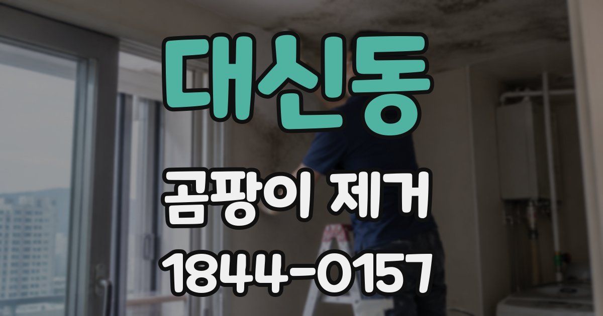 대신동 곰팡이 제거
