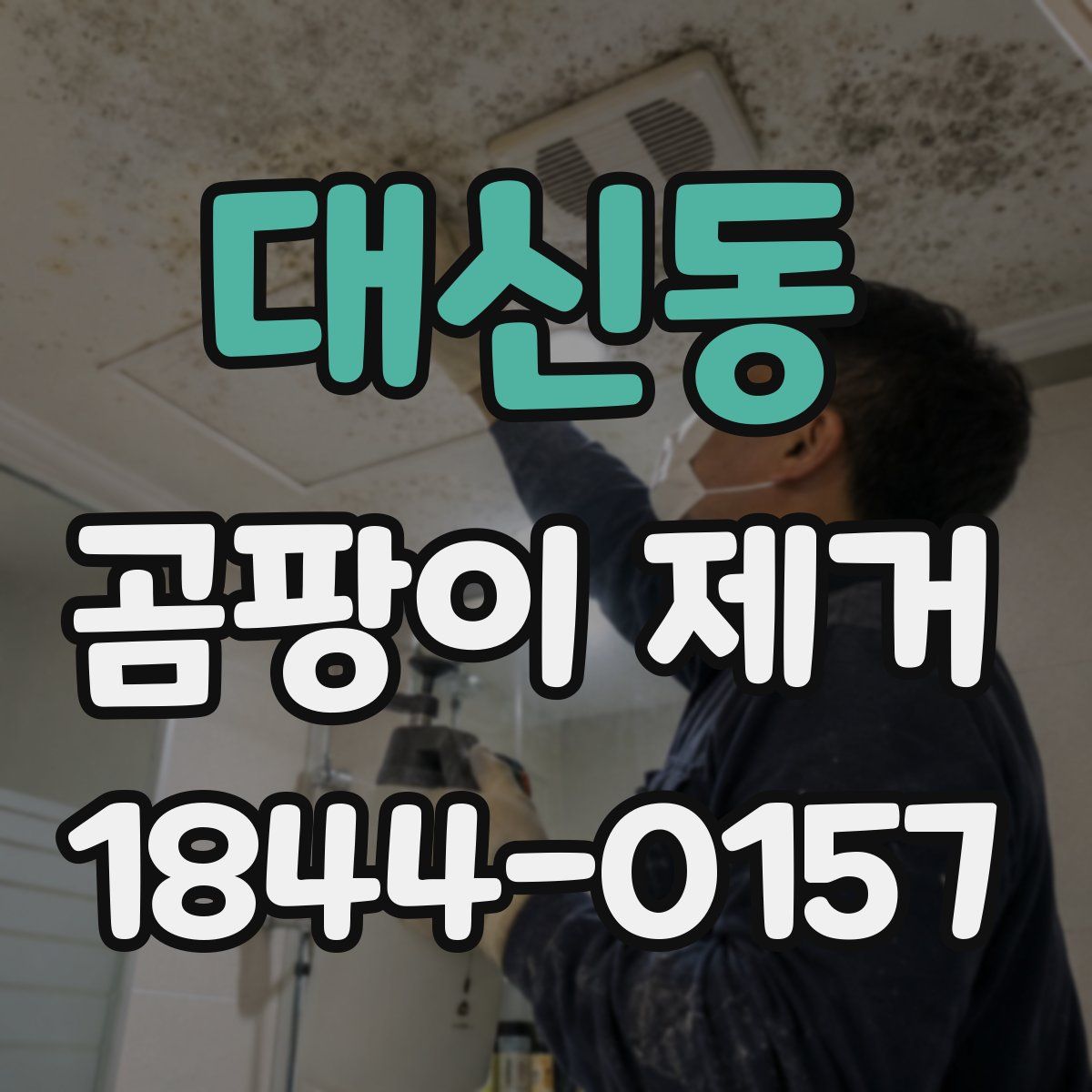대신동 곰팡이 제거
