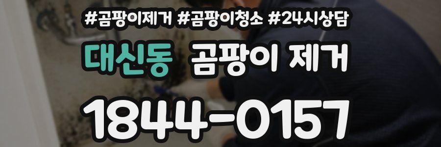 대신동 곰팡이 제거
