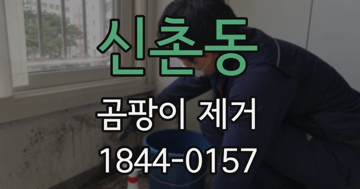 신촌동 곰팡이 제거