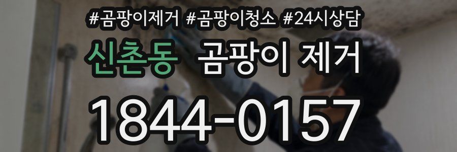 신촌동 곰팡이 제거