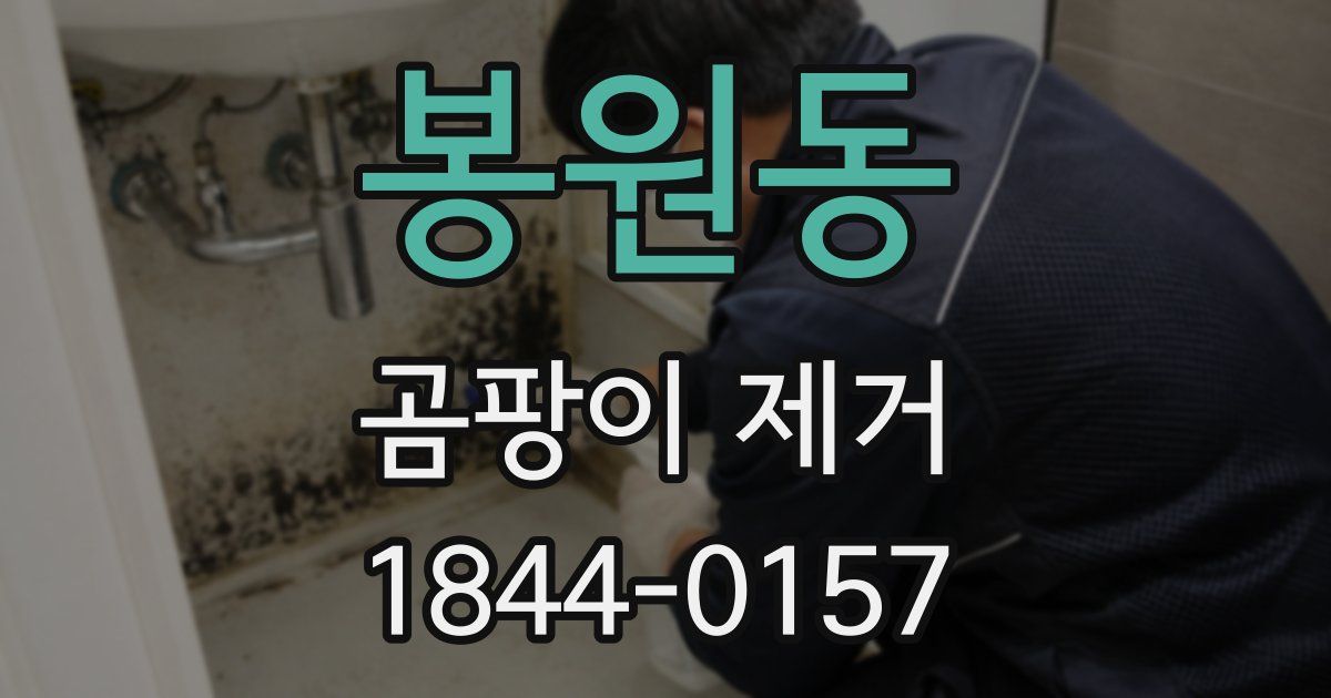 봉원동 곰팡이 제거