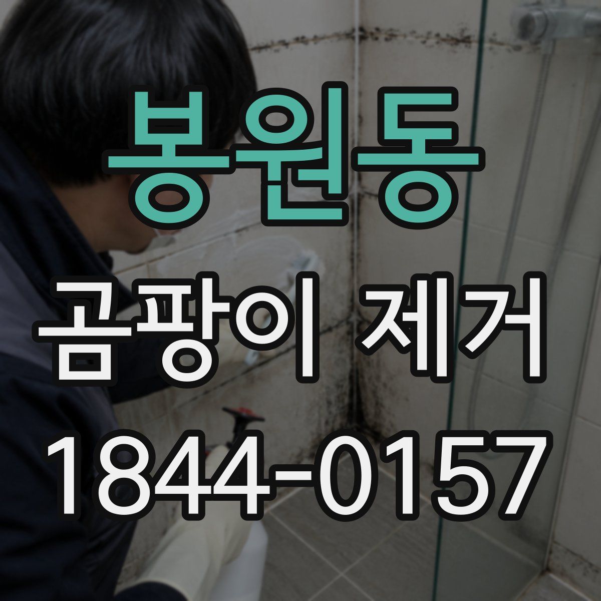 봉원동 곰팡이 제거